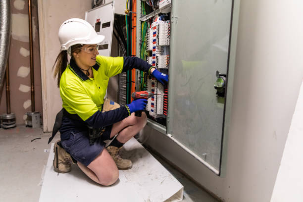 Best Local Electrician Companies  in Sleepy Eye, MN