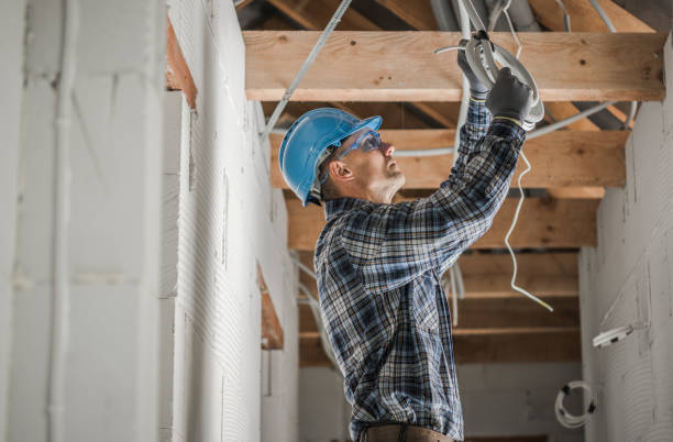 Best Electrical Rewiring Services  in Sleepy Eye, MN