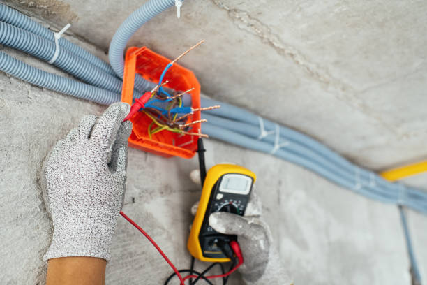 Best Electric Panel Repair  in Sleepy Eye, MN